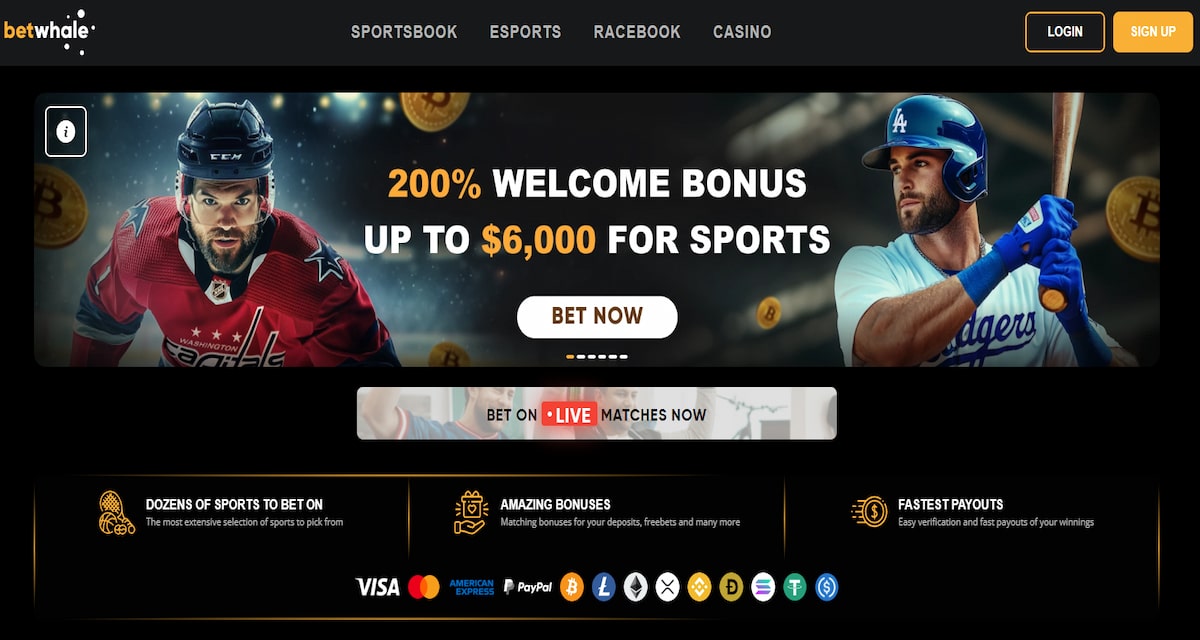 Snapshot of BetWhale's landing page in 2025, including main welcome offer BetWhale - best offshore sportsbooks